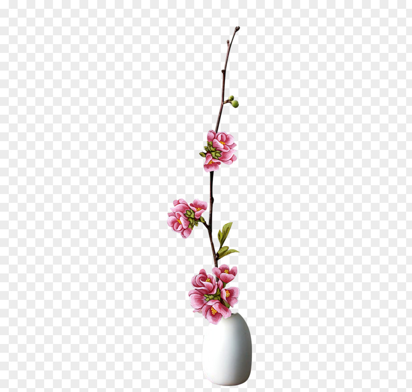 Vase Floral Design Flower PNG