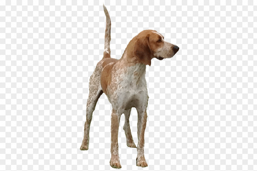 English American Coonhound Foxhound Black And Tan Redbone Treeing Walker PNG