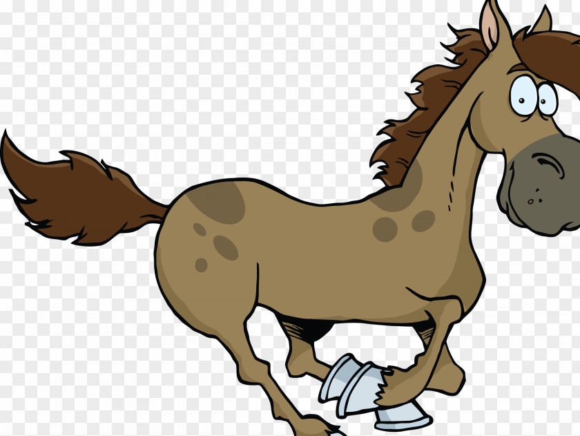 Horse Pony Foal Drawing Mustang Mule PNG