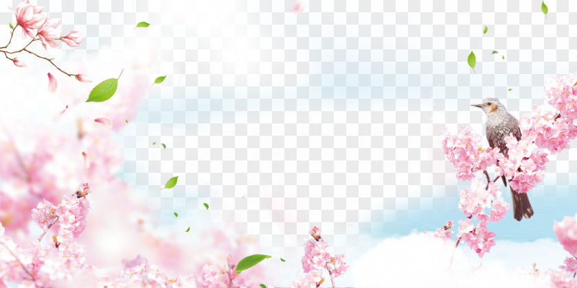 Peach Blossom Background Material Poster Spring Download PNG
