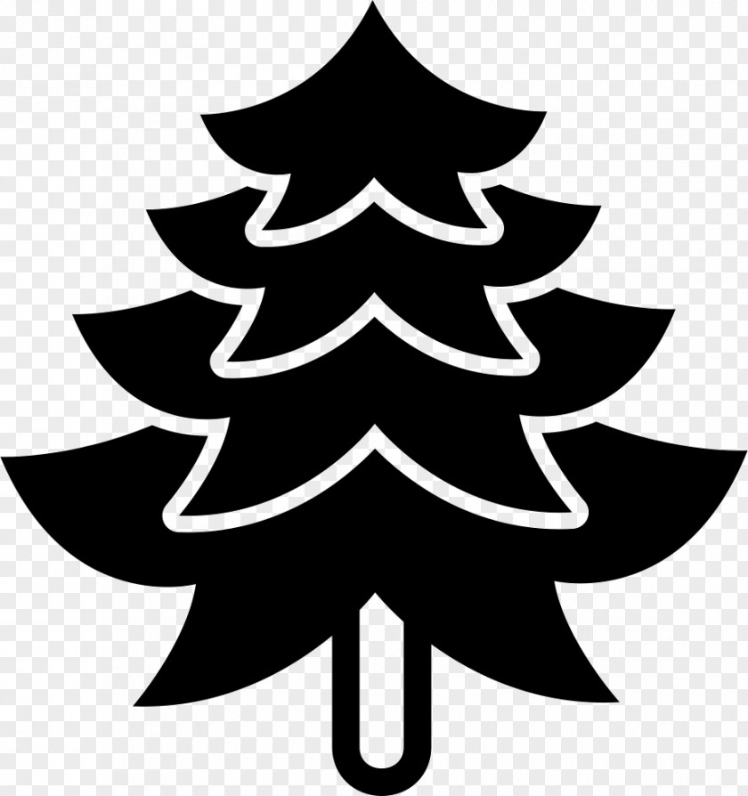 Spruce Clip Art Image PNG