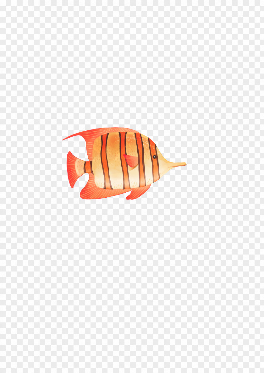 Striped Fish PNG