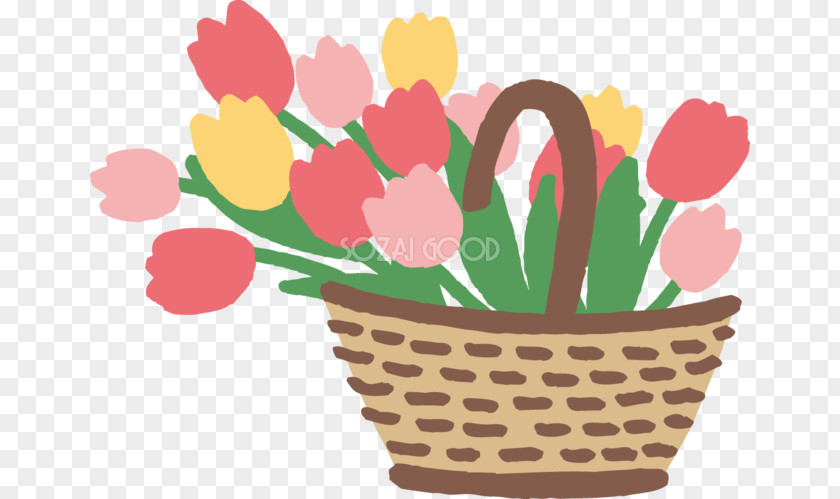 Tulip Clip Art Illustration Image Petal PNG