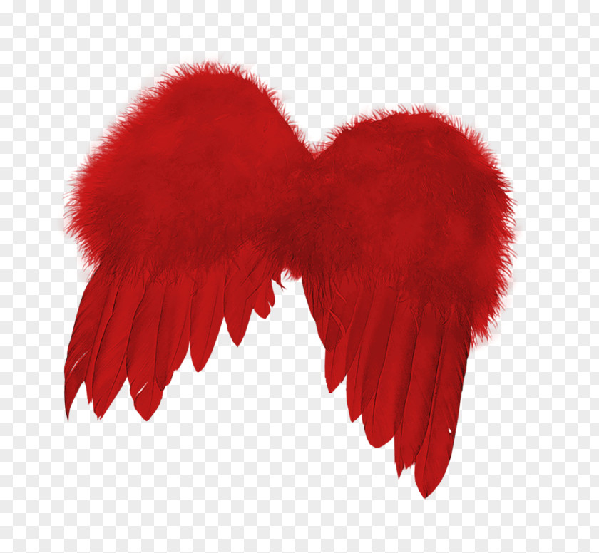 Wing Clip Art PNG