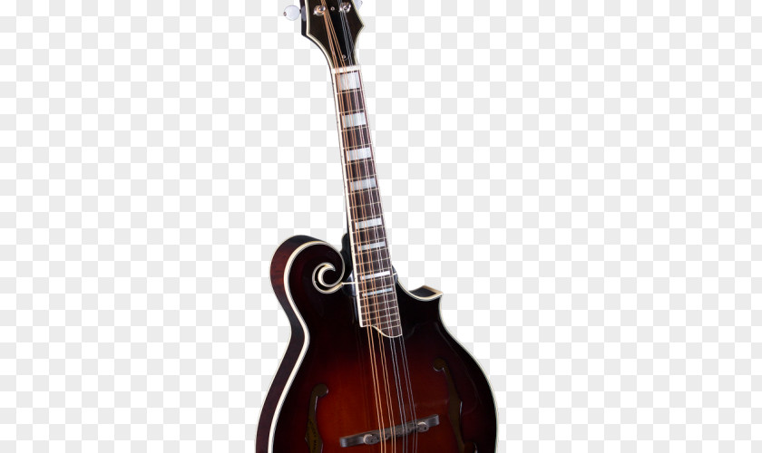 Bass Guitar Acoustic-electric Acoustic Mandolin PNG