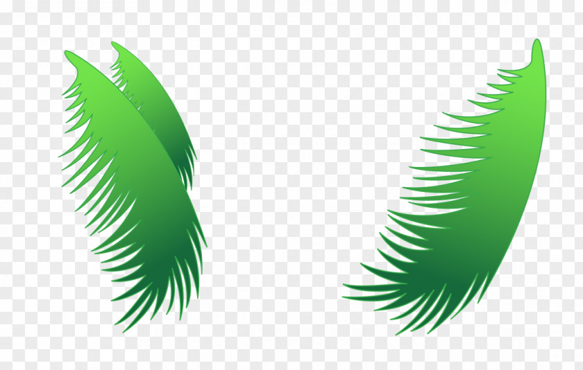 Cartoon Hand Painted Coconut Leaves Leaf PNG