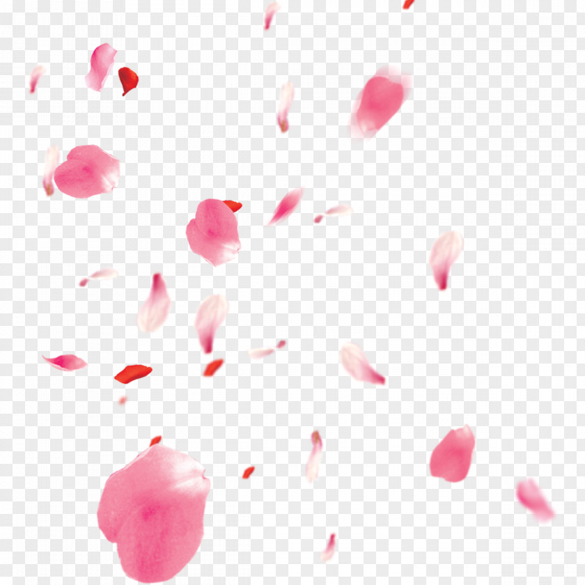 Free Floating Cherry Blossom Petals Pull Material Petal PNG