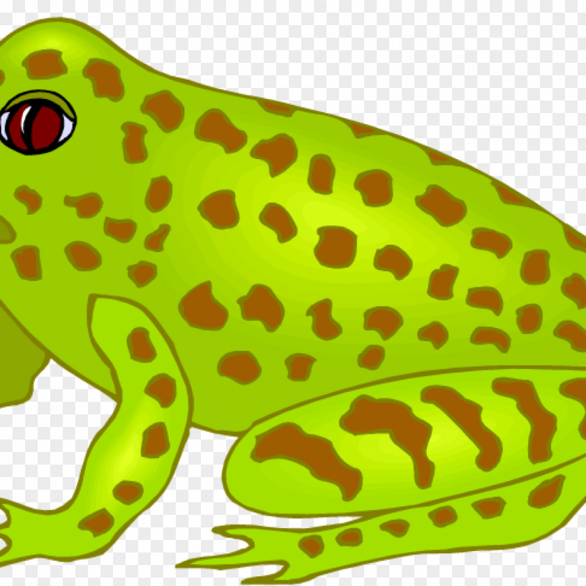 Frog True Amphibians Southern Brown Tree PNG