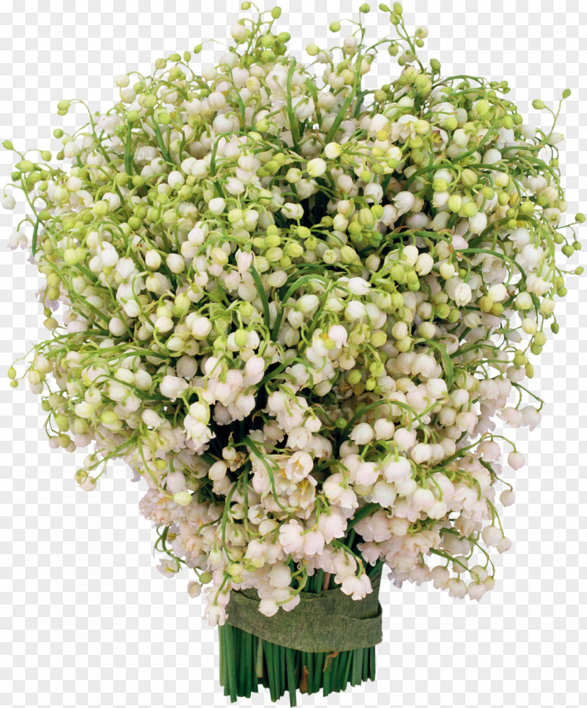 Hand Painted Plants Flower Bouquet Lily Of The Valley Clip Art PNG