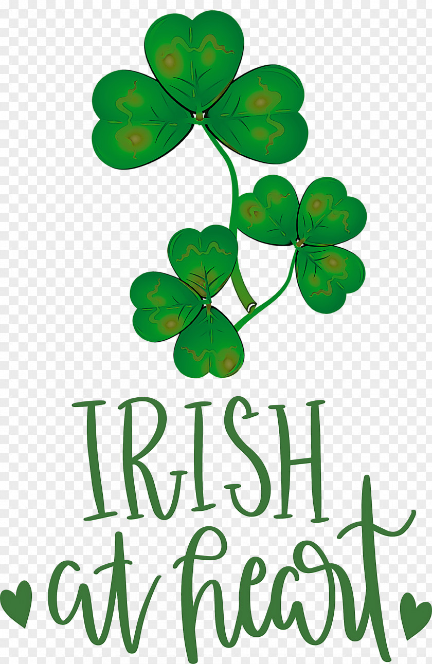 Shamrock Irish Saint Patrick PNG