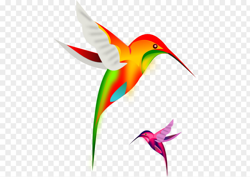 Animated Bird Cliparts Ruby-throated Hummingbird Clip Art PNG