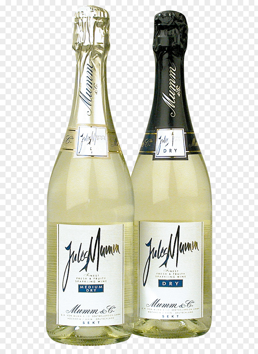Champagne White Wine Glass Bottle PNG