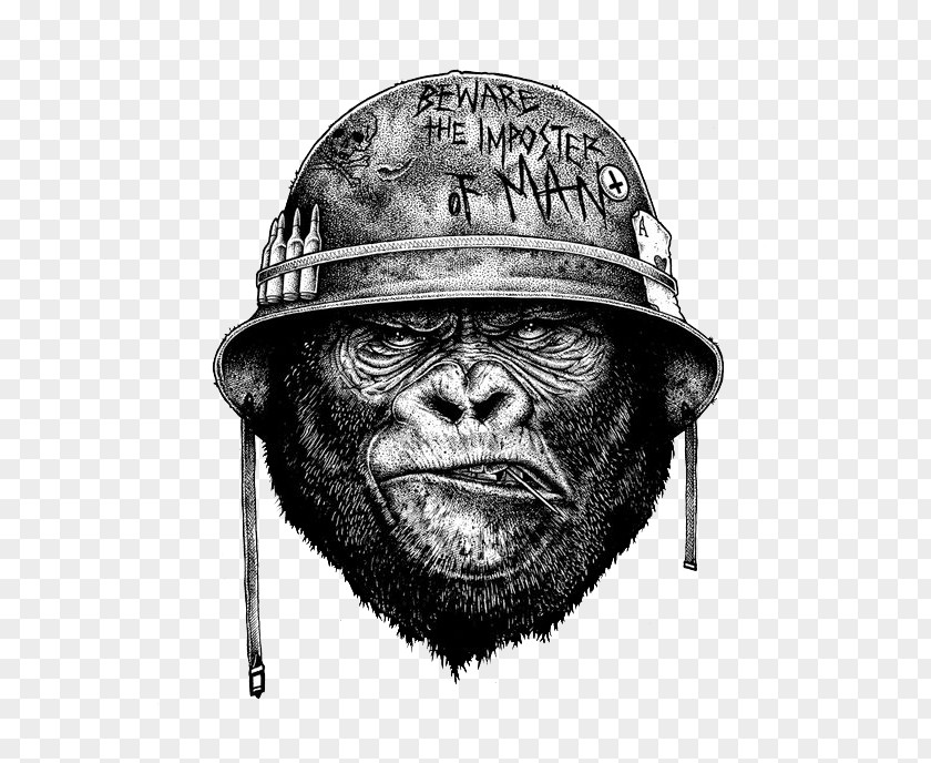 Chimpanzee Wearing A Helmet Artist Drawing Illustrator Sketch PNG