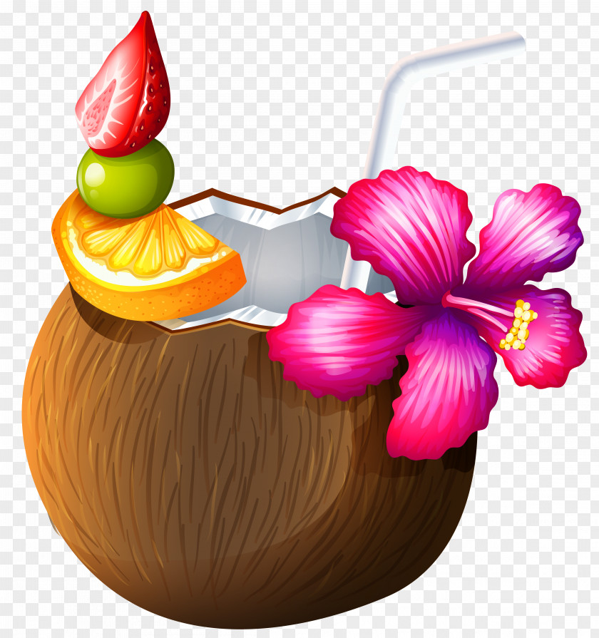 Exotic Coconut Cocktail Clipart Margarita Juice Moonshine Vodka PNG