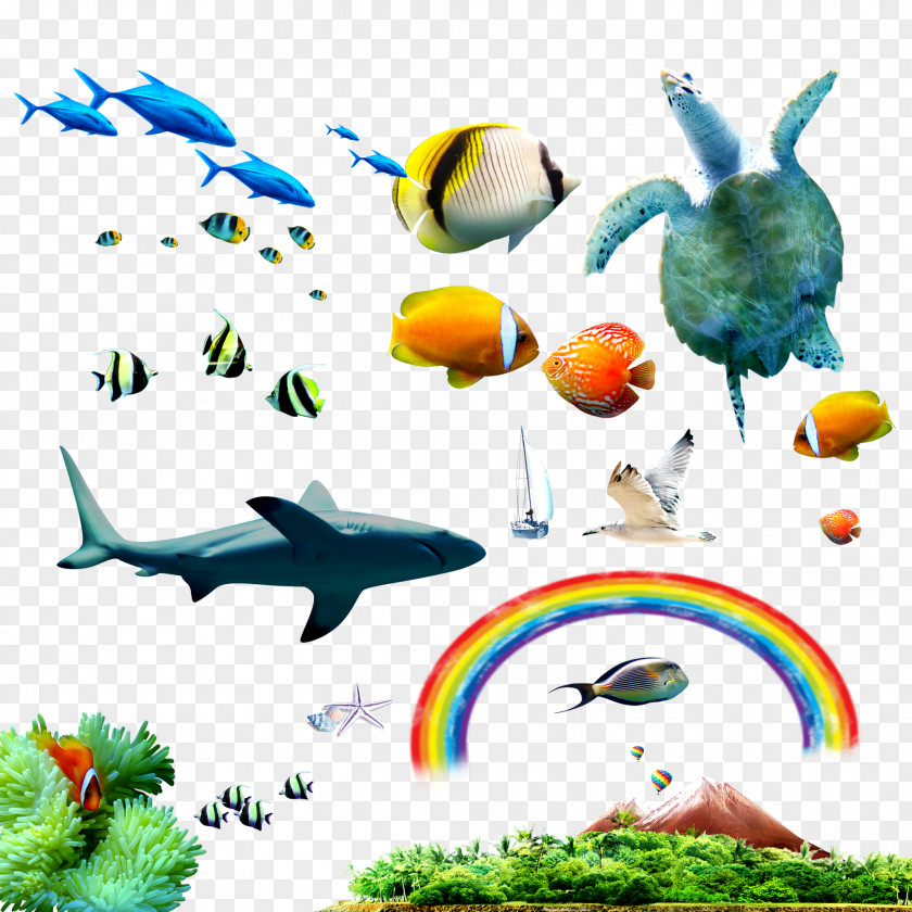 Seabed Material Package Tropical Fish Sea Clip Art PNG