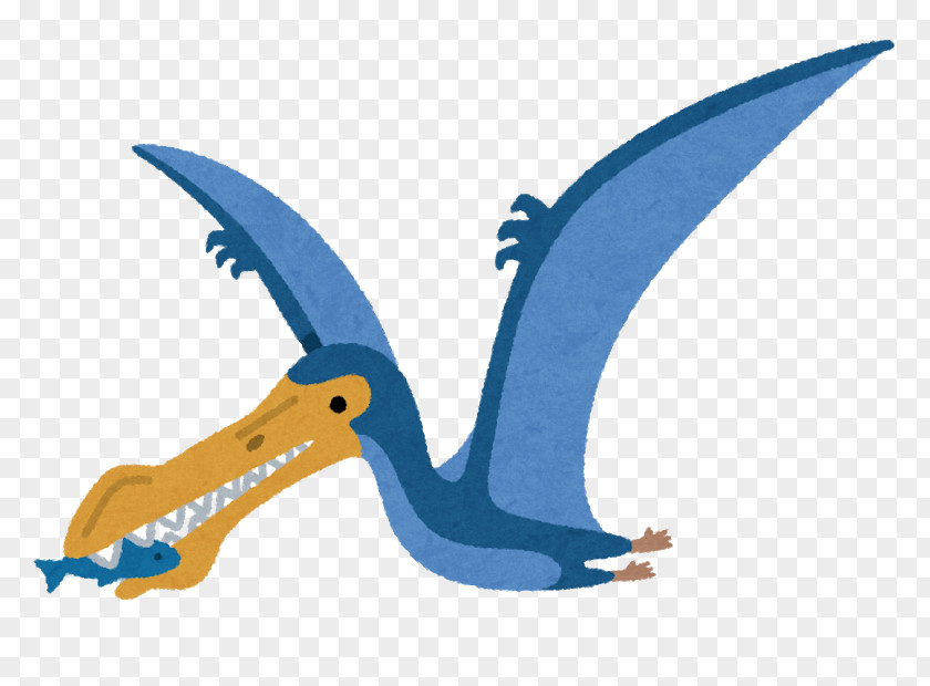 Anhanguera Illustration Cartoon Pterosaurs Beak PNG