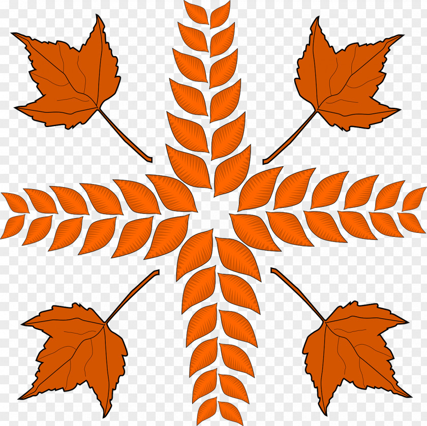 Autumn Leaf Color Drawing Clip Art PNG
