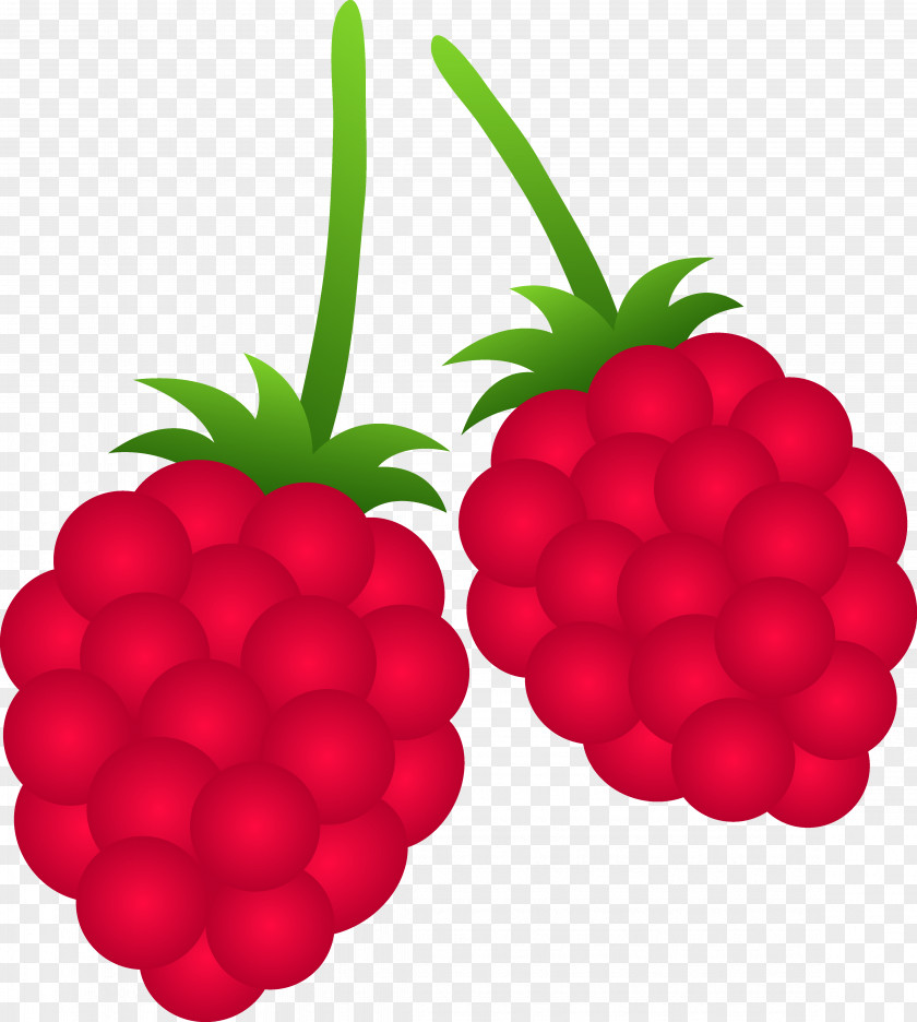 Berry Cliparts Raspberry Fruit Clip Art PNG