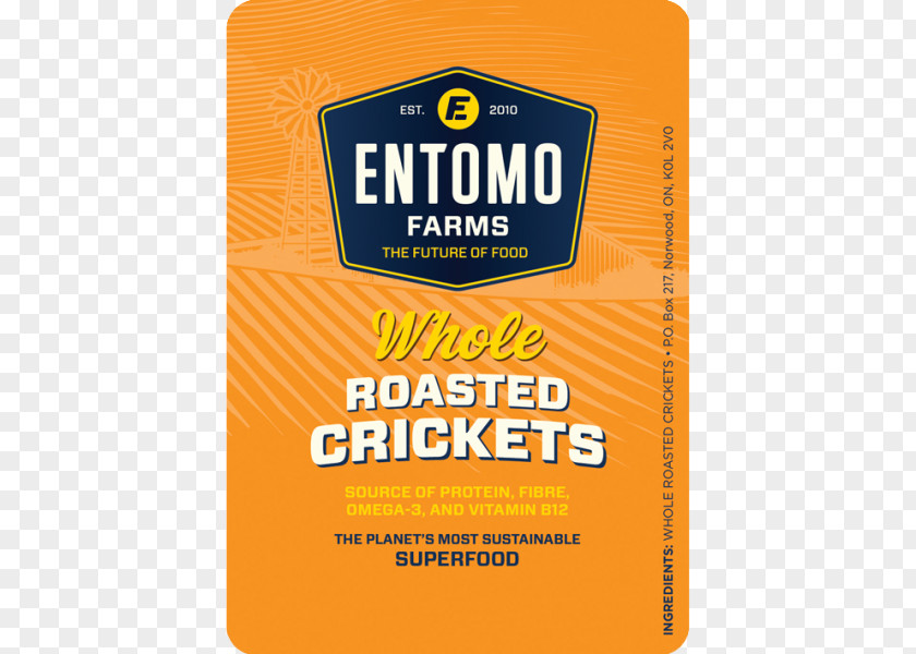 Cricket Like Insect Flour Entomophagy Food PNG