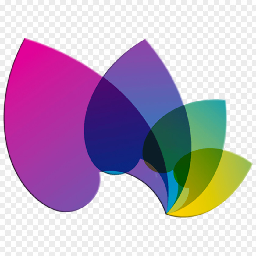 Flower Logo Royalty-free PNG