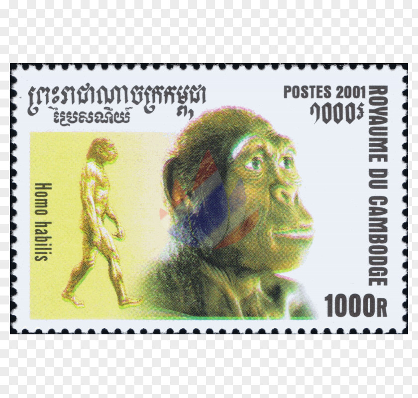 Human Beings Postage Stamps Animal Religion Mail Disability PNG