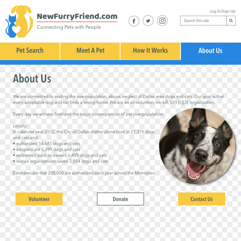 Puppy Dog Breed Web Page PNG