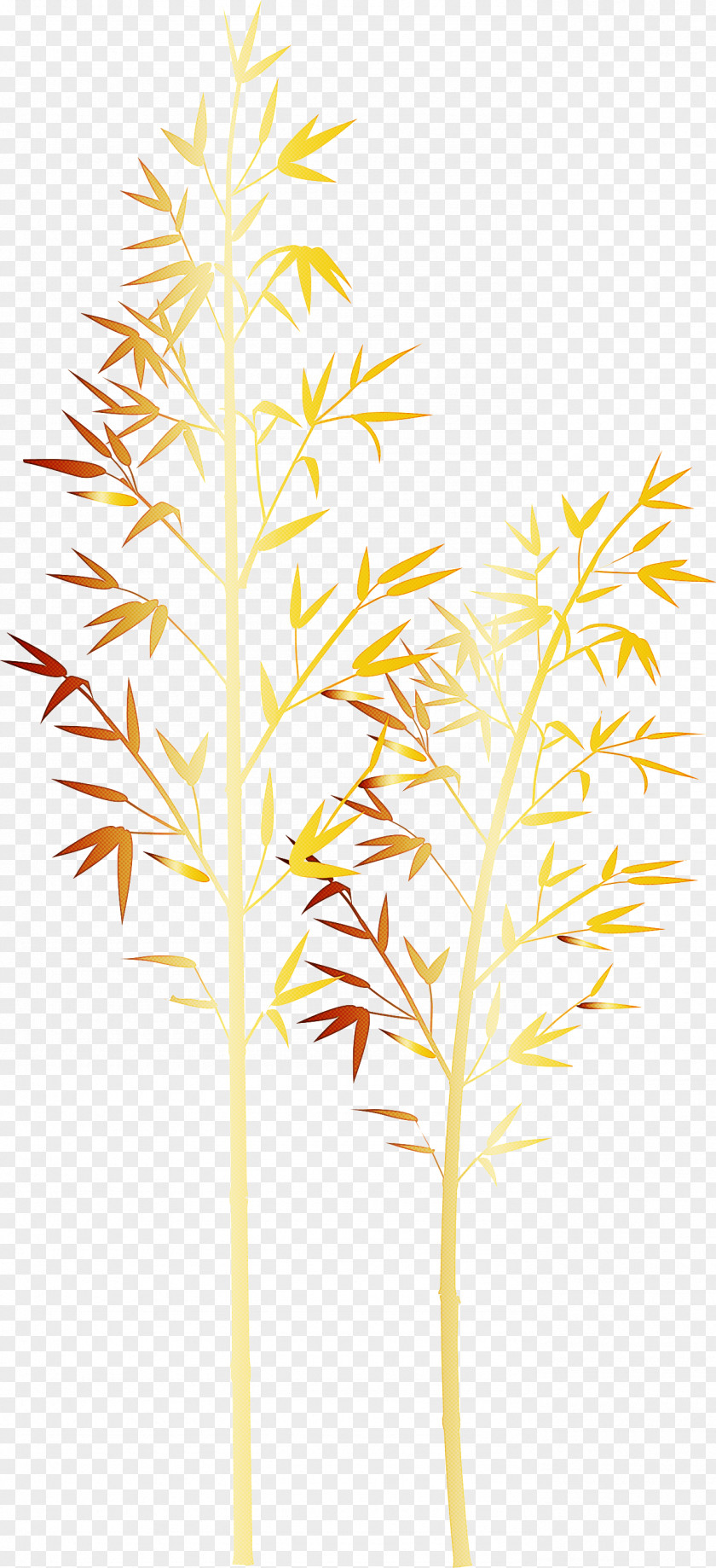 Bamboo Leaf PNG