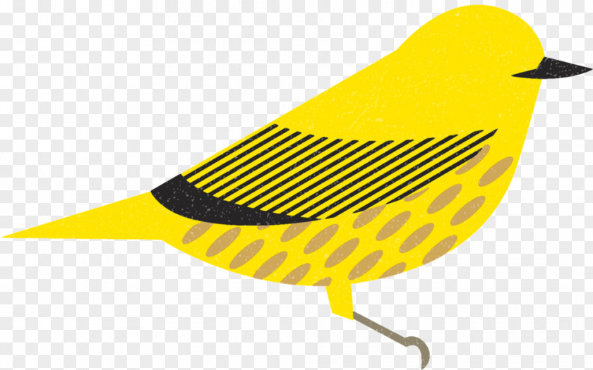 Bird Canada Beak Illustration Graphic Design PNG