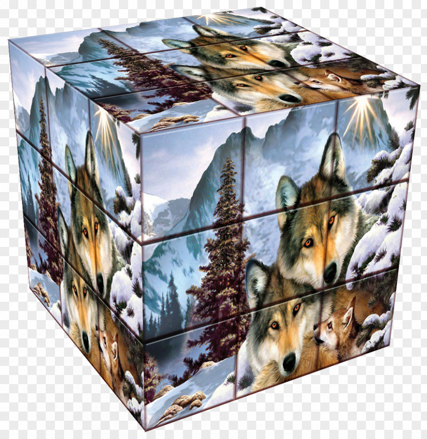 Cubes Fauna Wildlife PNG