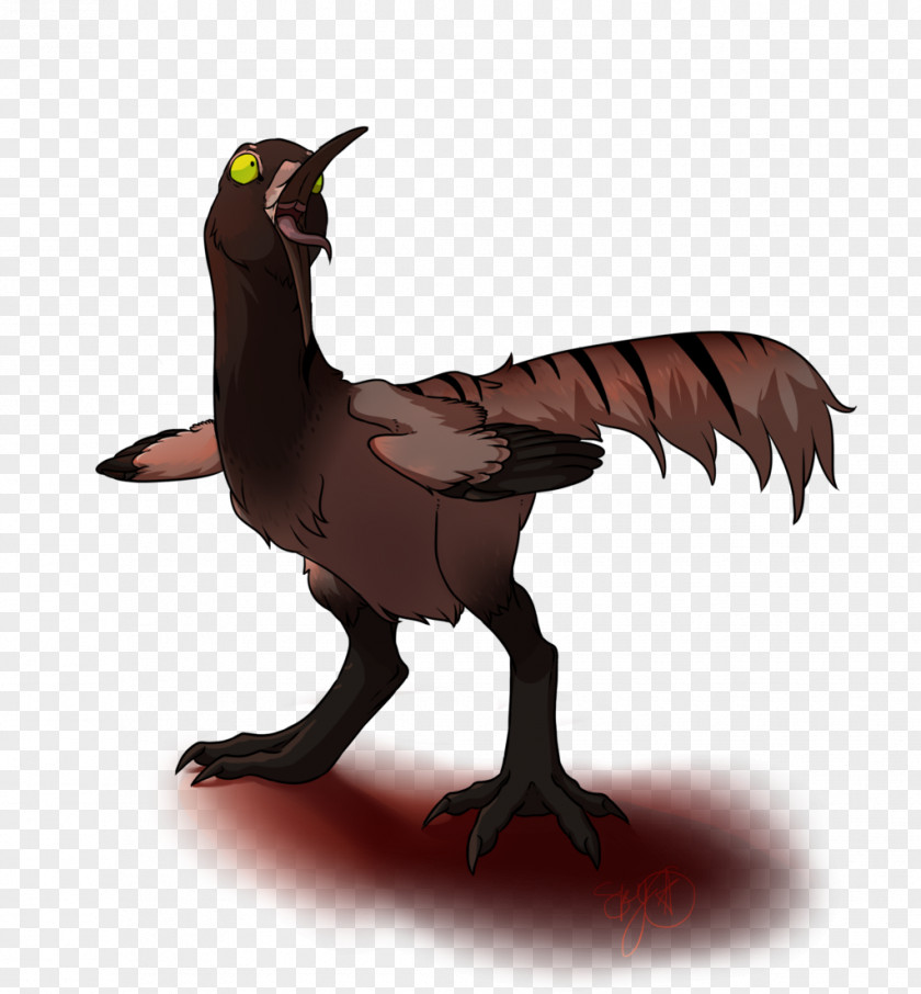 Feather Beak Fauna Animated Cartoon PNG