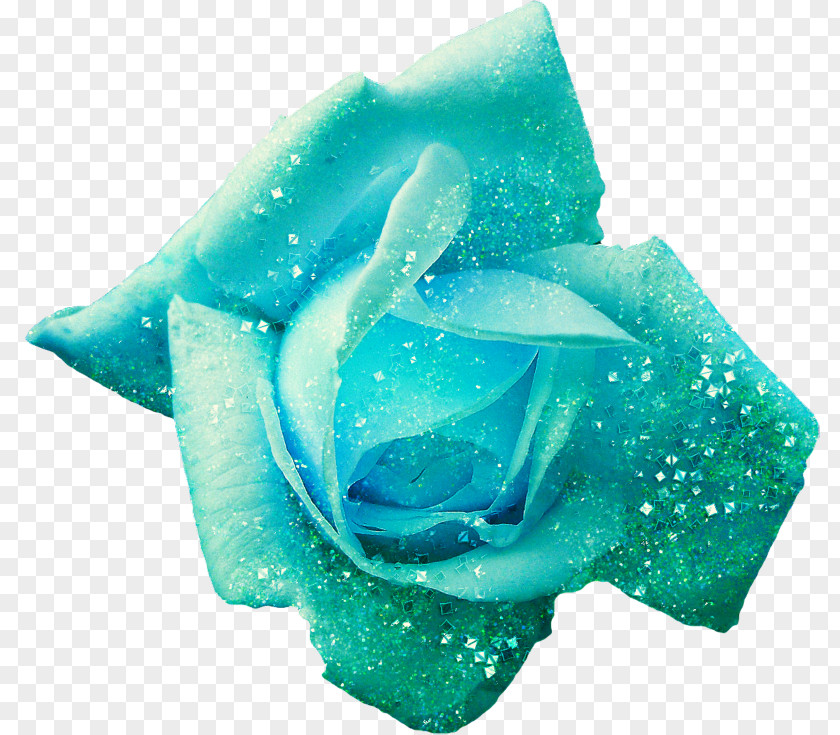 Roze Flower Blue Rose Hip Fruit Purple PNG