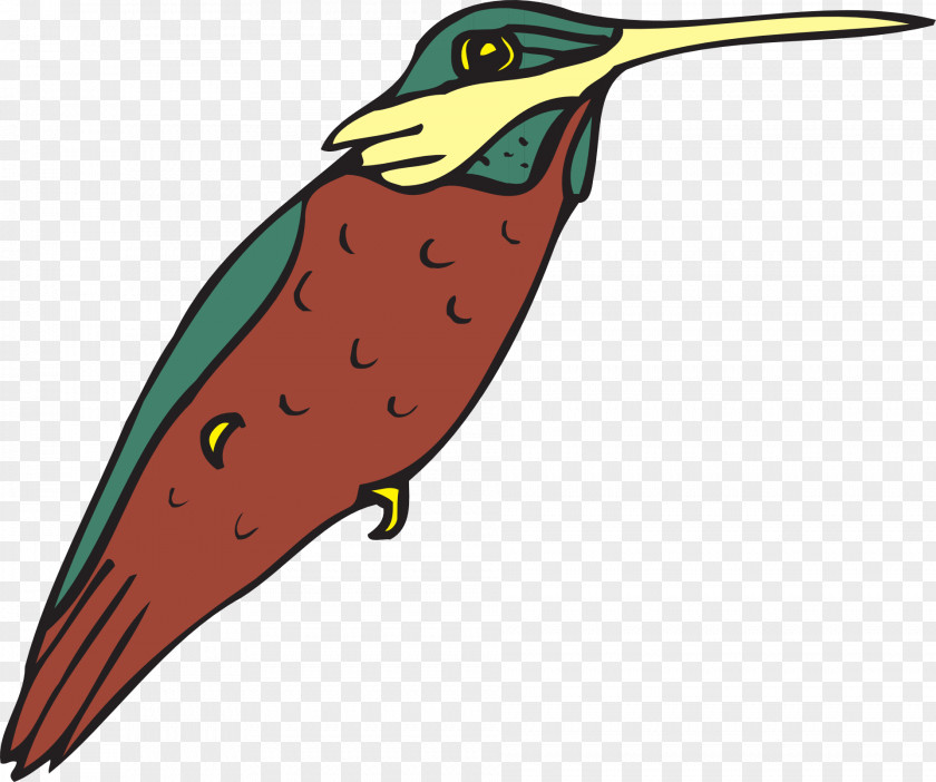 Bird Beak Hummingbird Clip Art Vector Graphics PNG