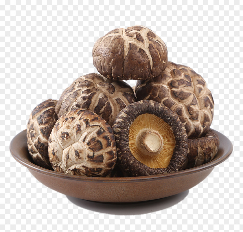 Dry Flower Mushrooms Shiitake Mushroom Food Drying Gutian County PNG