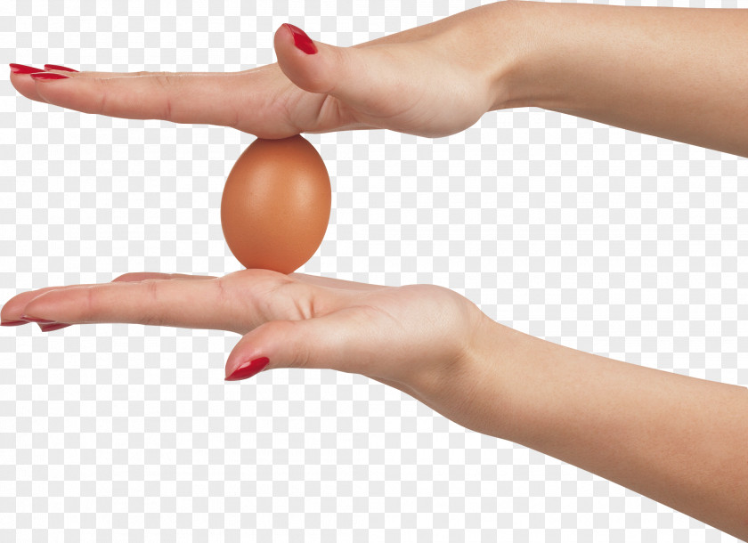 Egg In Hands Image Chicken Omelette PNG