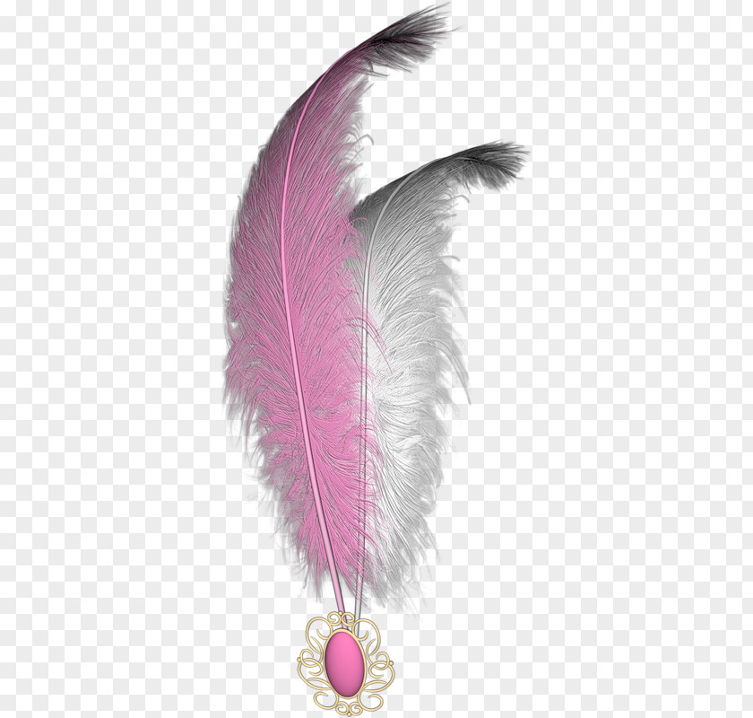 Feather Pattern White Bird PNG