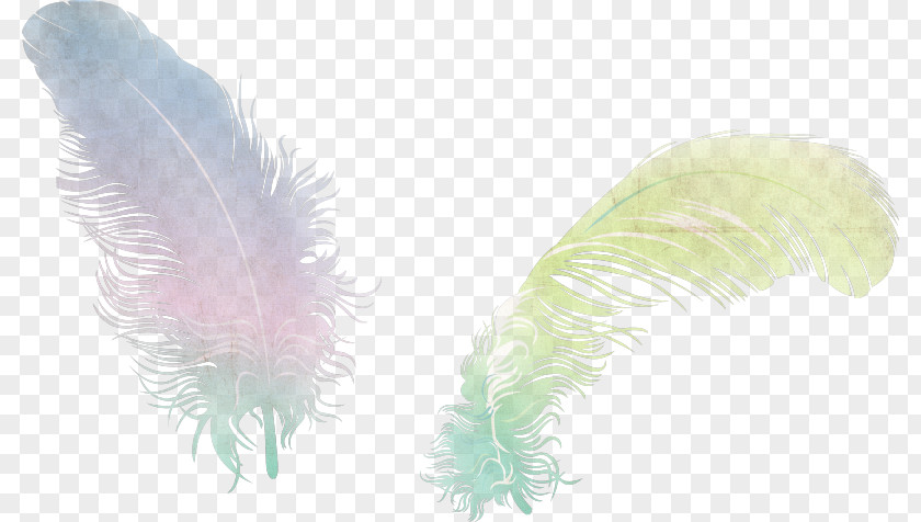 Golden Wings Feather Desktop Wallpaper Animaatio Clip Art PNG