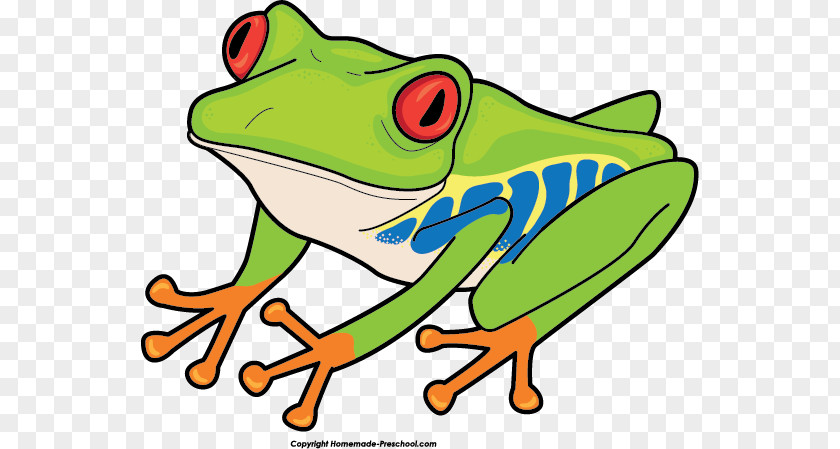 Good Frog Cliparts Red-eyed Tree Australian Green Clip Art PNG