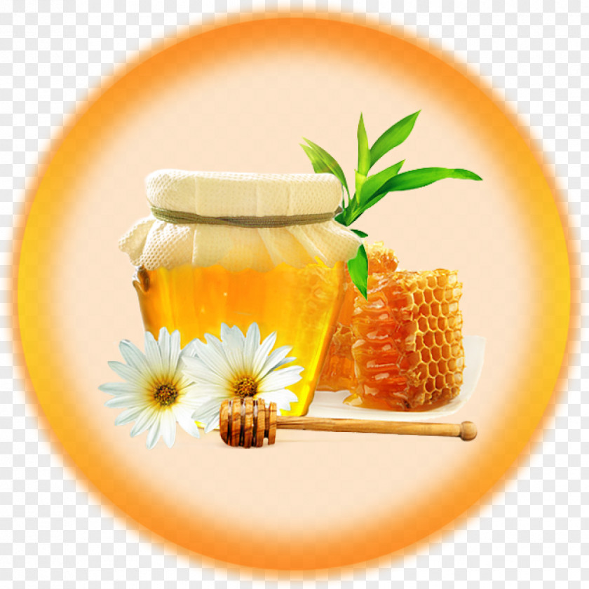 Honey Bee Food PNG