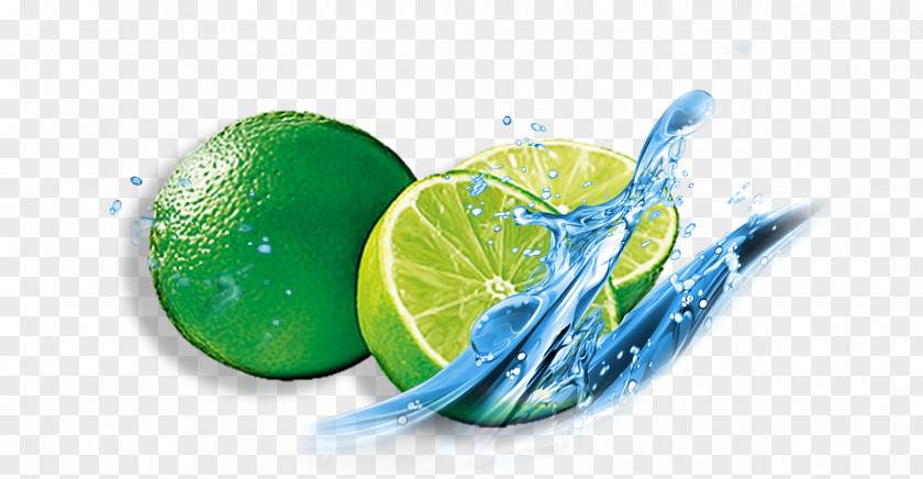 Lime Download Icon PNG