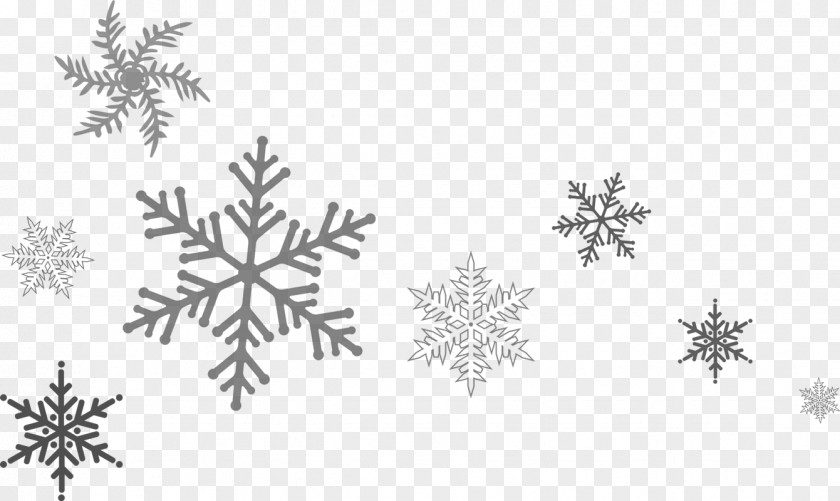 Snowflake Page Footer Ice Solution PNG