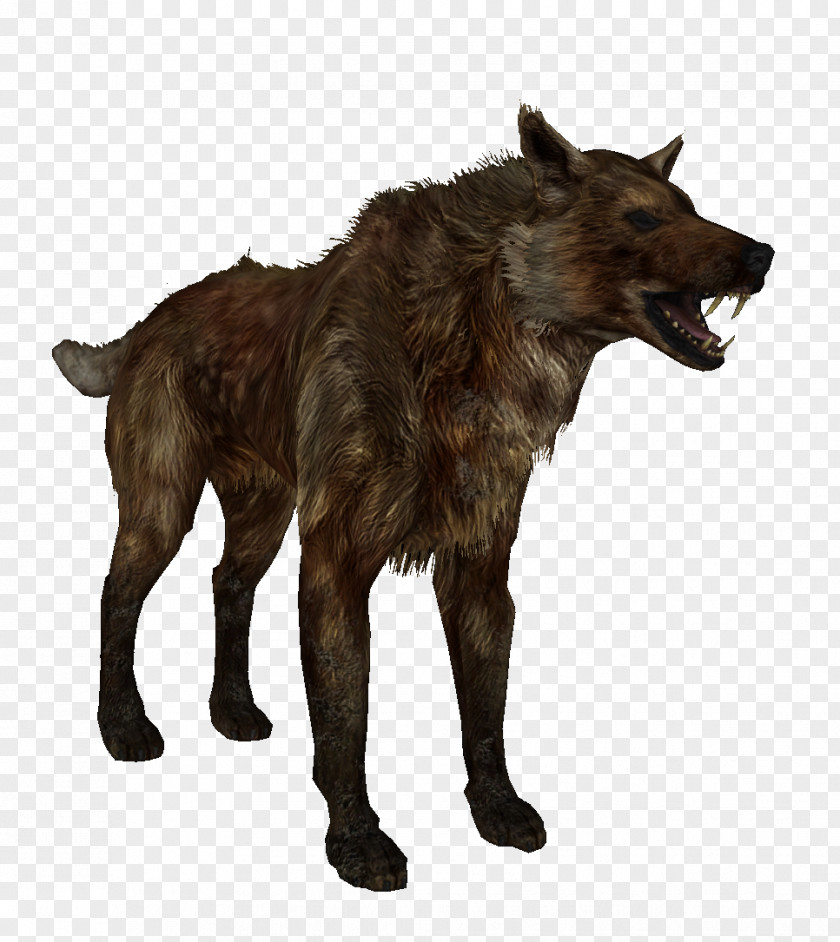 Magicka The Elder Scrolls V: Skyrim Oblivion WolfQuest Mod Pack PNG