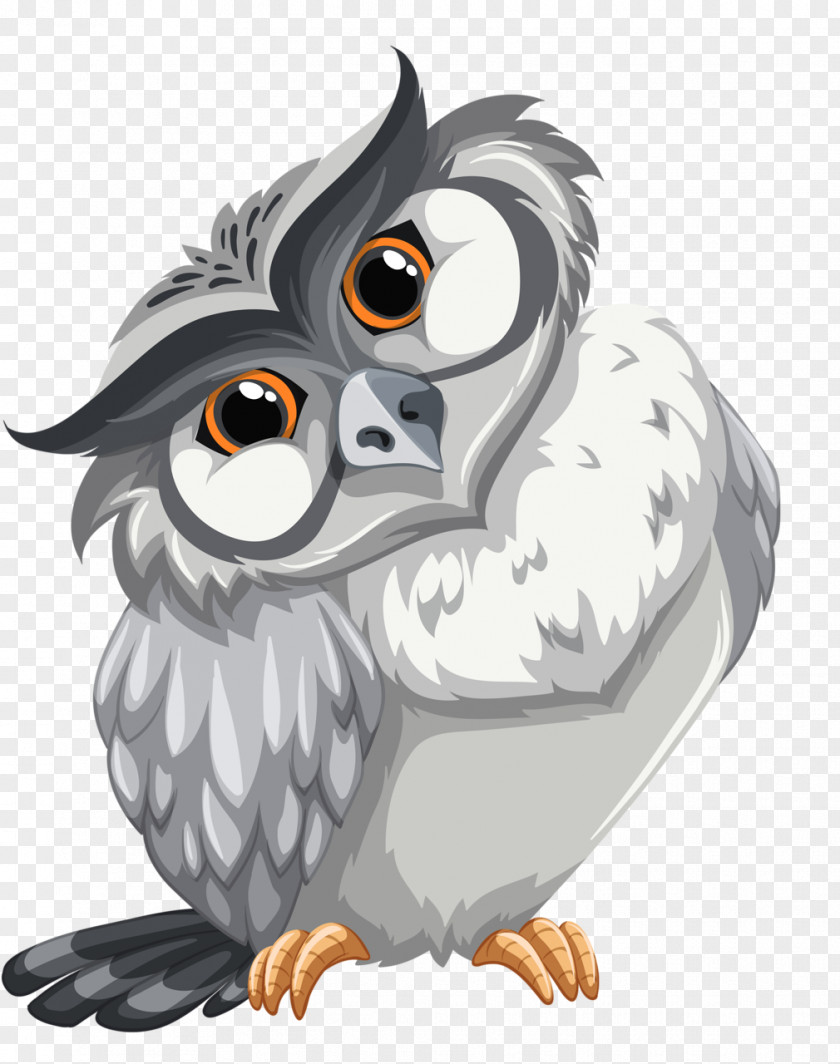 Owl Bird Coloring Book Drawing PNG