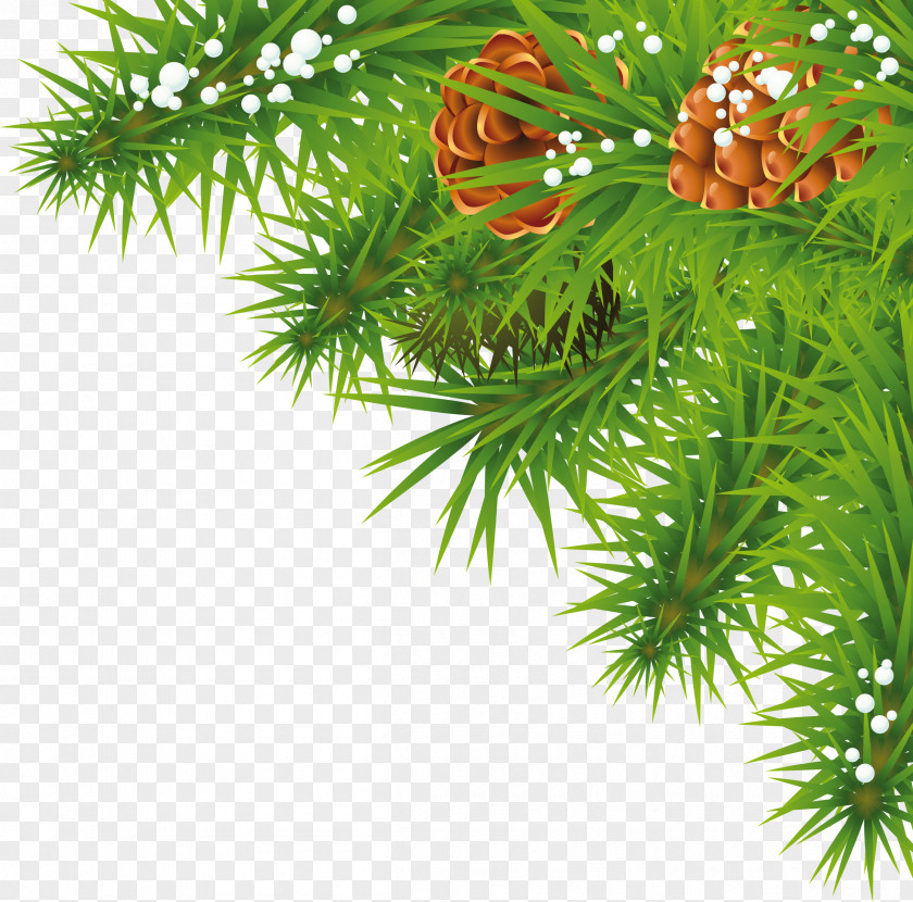 Fir-tree Branch Image Christmas Clip Art PNG