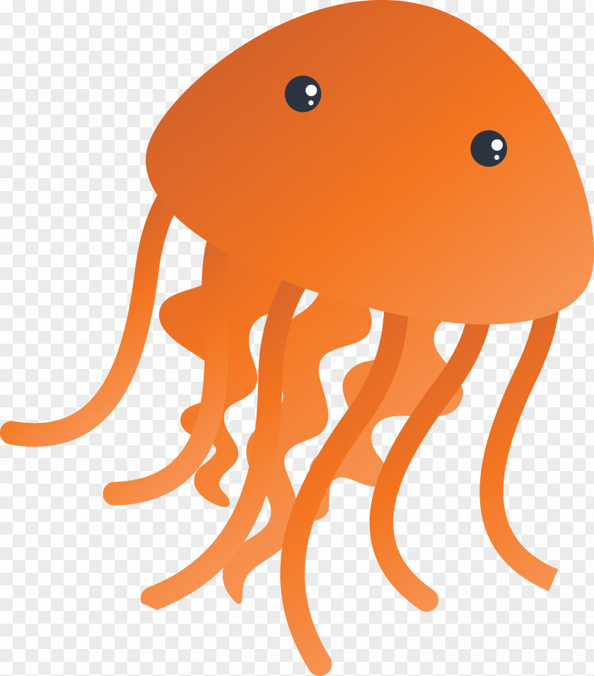 Orange PNG