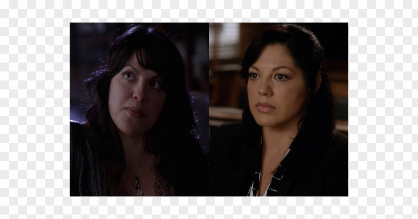 Season 13 Callie TorresGreys Anatomy Sara Ramirez Ellen DeGeneres Grey's PNG