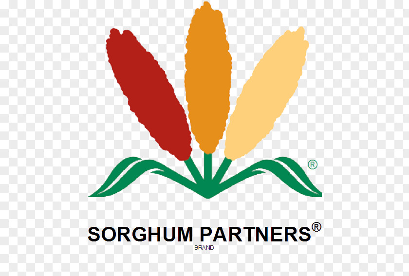 Sorghum Flour Food Nebraska Water Leaf Flower PNG