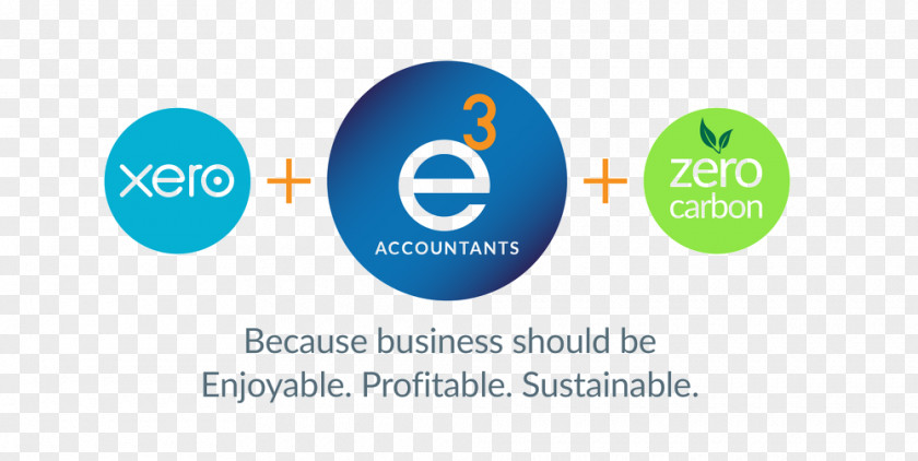 Accountants Sustainable Business Network Sustainability Organization PNG