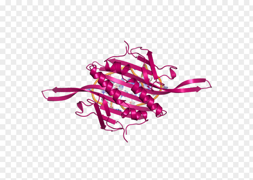 Bacteriophage Filigree MS2 RNA Virus Image PNG