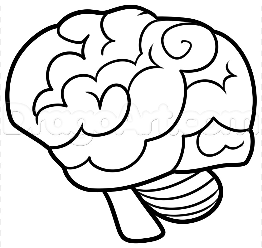 Brain Drawing Cliparts Pencil Sketch PNG