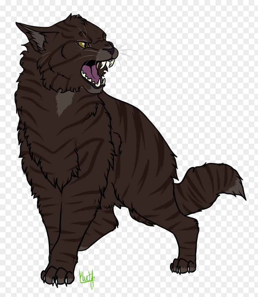 Cat Whiskers Wildcat Black Dog PNG